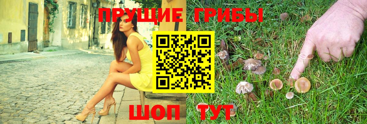 где найти наркотики  Вход с VPN  Апатиты  Псилоцибиновые грибы Cubensis  Галлюциногенные грибы Cubensis 