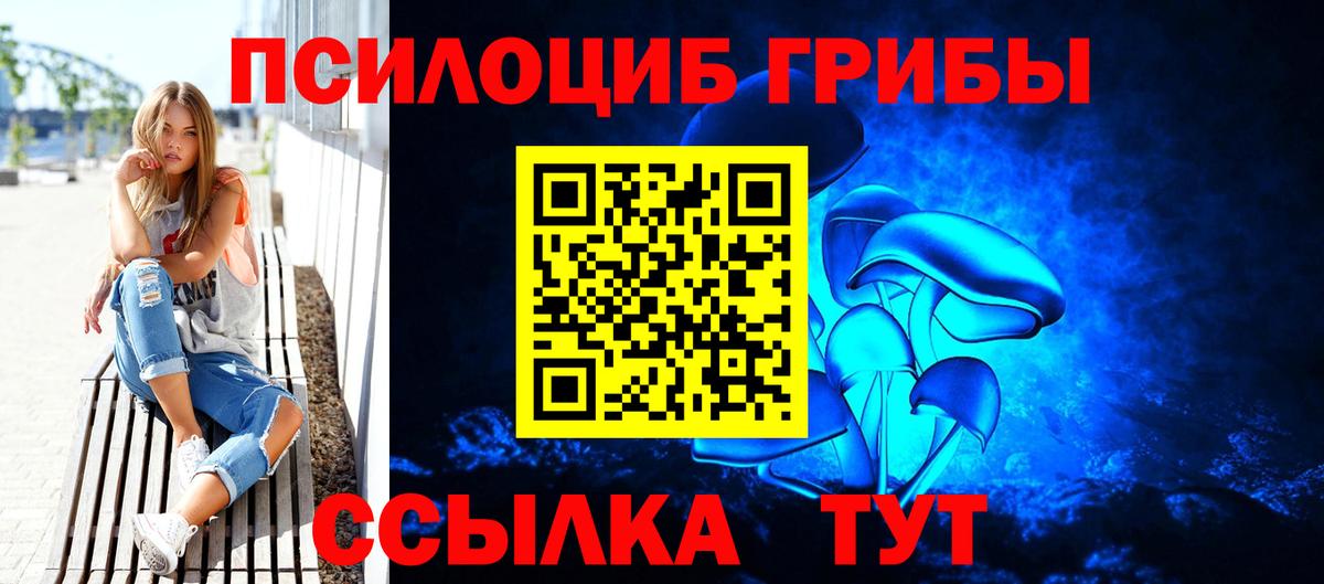 Галлюциногенные грибы мицелий Апатиты