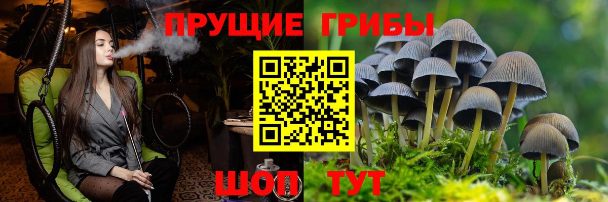 МЕФ кристаллы  Апатиты  Метамфетамин  Кокаин  Меф МЯУ МЯУ кристаллы  Каннабис  ГАШ  Бошки Шишки  МДМА 